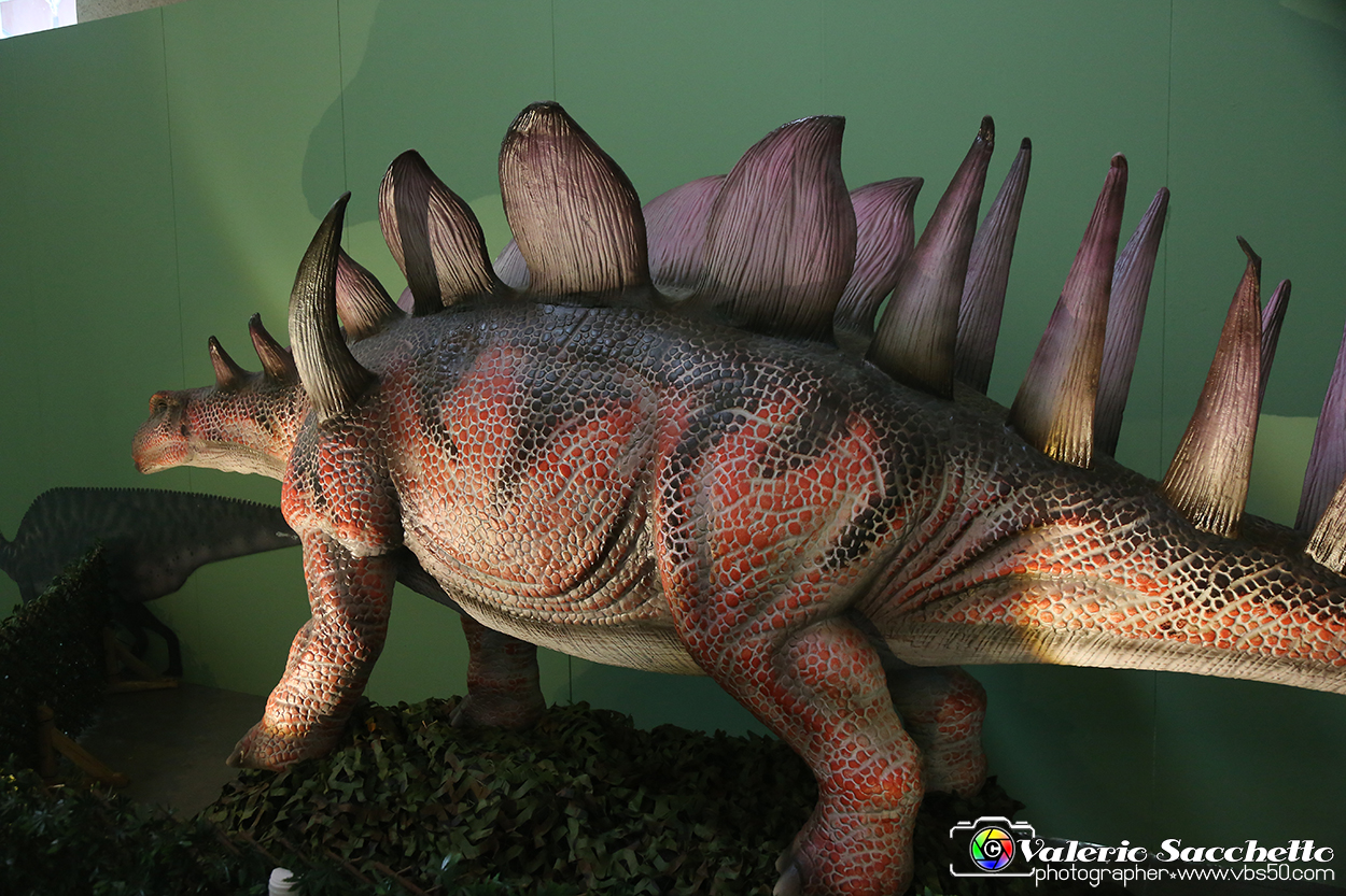 VBS_0928 - Dinosauri. Terra dei giganti.jpg